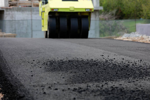 Best Custom Driveway Pavers  in Bloomfield, NY